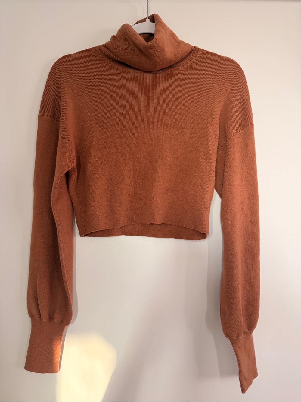 Rust Wilfred Turtleneck Cropped Sweater